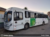 Viação Pinheiral RJ 189.019 na cidade de Pinheiral, Rio de Janeiro, Brasil, por Danilo  Ribeiro. Número da foto: #12170496.