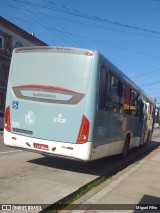 Viação Nossa Senhora Conquistadora 590 na cidade de Pelotas, Rio Grande do Sul, Brasil, por Miguel Filho. Número da foto: #12168475.