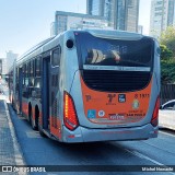 TRANSPPASS - Transporte de Passageiros 8 1971 na cidade de São Paulo, São Paulo, Brasil, por Michel Nowacki. Número da foto: #:id.