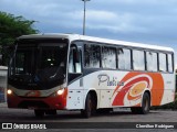 Viação Platina 2400 na cidade de Uberlândia, Minas Gerais, Brasil, por Clemilton Rodrigues . Número da foto: #:id.