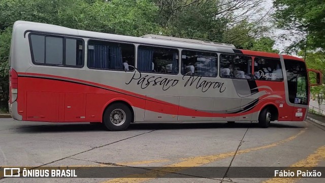 Empresa de Ônibus Pássaro Marron 5019 na cidade de São Paulo, São Paulo, Brasil, por Fábio Paixão. Número da foto: #12172504.