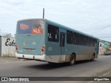 Laranjal Transportes 435 na cidade de Pelotas, Rio Grande do Sul, Brasil, por Miguel Filho. Número da foto: #12170798.