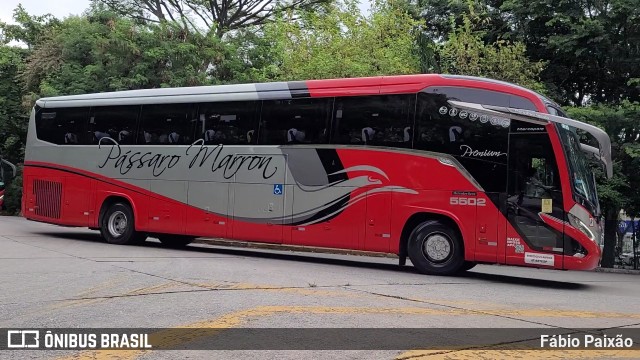 Empresa de Ônibus Pássaro Marron 5502 na cidade de São Paulo, São Paulo, Brasil, por Fábio Paixão. Número da foto: #12174266.