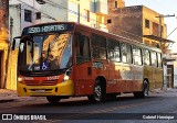 Empresa São Gonçalo 10127 na cidade de Contagem, Minas Gerais, Brasil, por Gabriel Henrique. Número da foto: #12174123.