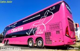 Viação Catarina 2431 na cidade de Brasília, Distrito Federal, Brasil, por Carlos Júnior. Número da foto: #12175217.