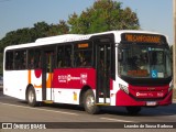 Auto Viação Palmares D17070 na cidade de Rio de Janeiro, Rio de Janeiro, Brasil, por Leandro de Sousa Barbosa. Número da foto: #12173473.