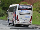 SinTimTur 1425 na cidade de Juiz de Fora, Minas Gerais, Brasil, por Luiz Krolman. Número da foto: #12175555.