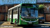 Ônibus Particulares 8733 na cidade de Paulínia, São Paulo, Brasil, por Allan Henrique. Número da foto: #12173447.