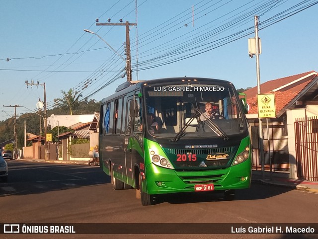 Dalamar Fretamento e Turismo 2015 na cidade de Seara, Santa Catarina, Brasil, por Luís Gabriel H. Macedo. Número da foto: #12178073.