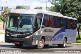 Arêa Leão Turismo 76 na cidade de Teresina, Piauí, Brasil, por Paulo Henrique Pereira Borges. Número da foto: #12176530.
