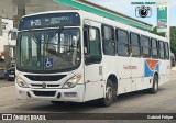 Transnacional Transportes Urbanos 08077 na cidade de Natal, Rio Grande do Norte, Brasil, por Gabriel Felipe. Número da foto: #:id.
