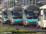 Transportes Civa 0000043 na cidade de Rio Verde, Goiás, Brasil, por Deoclismar Vieira. Número da foto: #12176618.