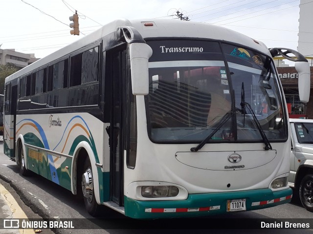 Transcrumo SJB 11074 na cidade de Mata Redonda, San José, San José, Costa Rica, por Daniel Brenes. Número da foto: #12180087.