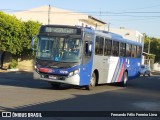 Transportes Capellini 17.216 na cidade de Santa Bárbara d`Oeste, São Paulo, Brasil, por Fernando Félix Ferreira Lima. Número da foto: #12179673.