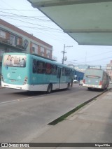 Transportes Santa Maria 617 na cidade de Pelotas, Rio Grande do Sul, Brasil, por Miguel Filho. Número da foto: #:id.