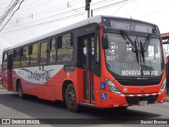 AMSA - Autotransportes Moravia 29 na cidade de San Vicente, Moravia, San José, Costa Rica, por Daniel Brenes. Número da foto: #12180215.