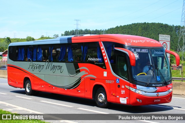 Empresa de Ônibus Pássaro Marron 5827 na cidade de Aparecida, São Paulo, Brasil, por Paulo Henrique Pereira Borges. Número da foto: #12182065.