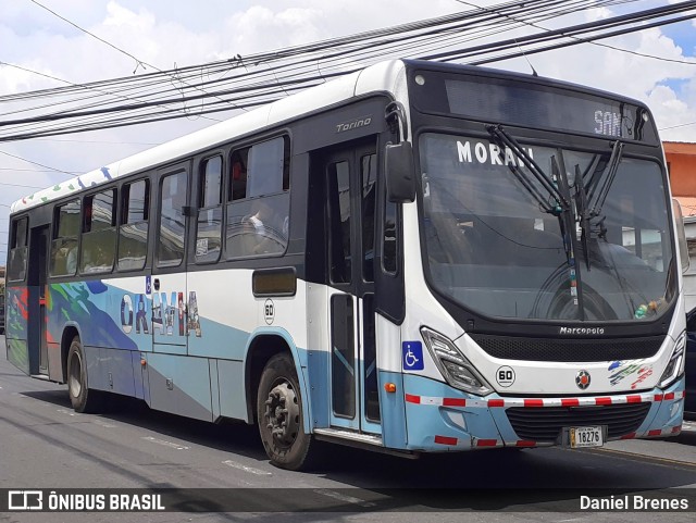 AMSA - Autotransportes Moravia 60 na cidade de San Vicente, Moravia, San José, Costa Rica, por Daniel Brenes. Número da foto: #12180251.