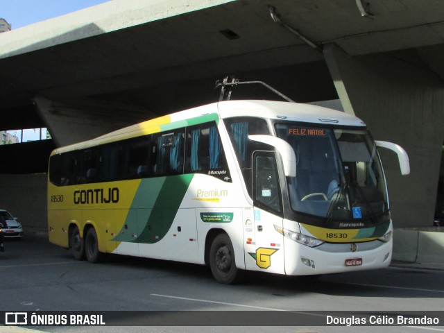 Empresa Gontijo de Transportes 18530 na cidade de Belo Horizonte, Minas Gerais, Brasil, por Douglas Célio Brandao. Número da foto: #12184500.