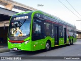 Himalaia Transportes > Ambiental Transportes Urbanos 4 1119 na cidade de São Paulo, São Paulo, Brasil, por Valnei Conceição. Número da foto: #12184153.