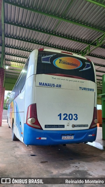 Transamazônica 1203 na cidade de Silves, Amazonas, Brasil, por Reinaldo Monteiro. Número da foto: #12142476.