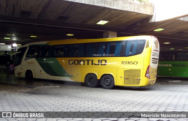 Empresa Gontijo de Transportes 18160 na cidade de Belo Horizonte, Minas Gerais, Brasil, por Maurício Nascimento. Número da foto: #12144251.