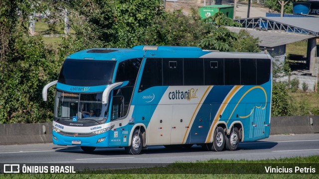 Cattani Sul Transportes e Turismo 41668 na cidade de Joinville, Santa Catarina, Brasil, por Vinicius Petris. Número da foto: #12143580.
