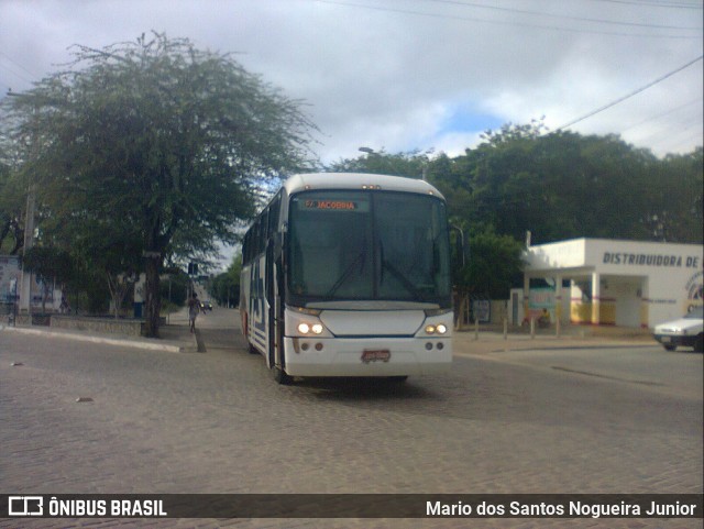 Falcão Real 6220 na cidade de Piritiba, Bahia, Brasil, por Mario dos Santos Nogueira Junior. Número da foto: #12141769.