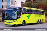 Pássaro Verde 24185 na cidade de Viçosa, Minas Gerais, Brasil, por Ricardo  Knupp Franco. Número da foto: #:id.