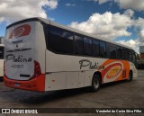 Viação Platina 4050 na cidade de Uberlândia, Minas Gerais, Brasil, por Vanderlei da Costa Silva Filho. Número da foto: #:id.