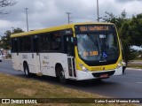 Viação Pioneira 228842 na cidade de Brasília, Distrito Federal, Brasil, por Carlos Daniel Moreira Batista. Número da foto: #:id.