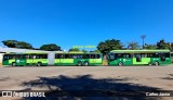 Metrobus 1201 na cidade de Goiânia, Goiás, Brasil, por Carlos Júnior. Número da foto: #12186161.