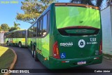 Metrobus 1201 na cidade de Goiânia, Goiás, Brasil, por Carlos Júnior. Número da foto: #12186167.