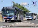Transportes Capellini 19.117 na cidade de Campinas, São Paulo, Brasil, por Adriano Barbosa. Número da foto: #12185837.