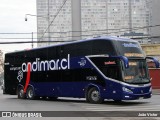 Andimar 430 na cidade de Santiago, Santiago, Metropolitana de Santiago, Chile, por João Victor. Número da foto: #12189511.