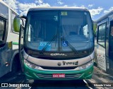 Turin Transportes 1425 na cidade de Conselheiro Lafaiete, Minas Gerais, Brasil, por Eduardo Vieira. Número da foto: #12187453.