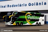 Fabbitur Transporte e Turismo 33000 na cidade de Goiânia, Goiás, Brasil, por Leonardo Fidelli. Número da foto: #12188432.