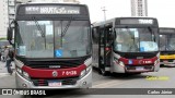Transwolff Transportes e Turismo 7 8128 na cidade de Barueri, São Paulo, Brasil, por Carlos Júnior. Número da foto: #12191008.