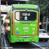 TRANSPPASS - Transporte de Passageiros 8 1073 na cidade de São Paulo, São Paulo, Brasil, por Michel Nowacki. Número da foto: #:id.