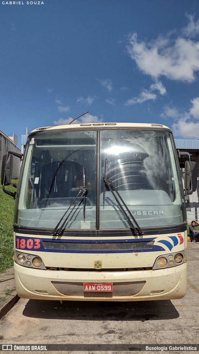Viação Santana Iapó 1803 na cidade de Castro, Paraná, Brasil, por Busologia Gabrielística. Número da foto: #12195527.