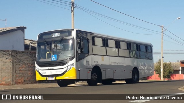 Pontual Sul Transporte e Turismo 6460 na cidade de Botucatu, São Paulo, Brasil, por Pedro Henrique de Oliveira. Número da foto: #12196698.