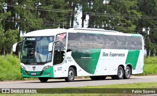 Comércio e Transportes Boa Esperança 4250 na cidade de Santa Izabel do Pará, Pará, Brasil, por Fabio Soares. Número da foto: #12197250.