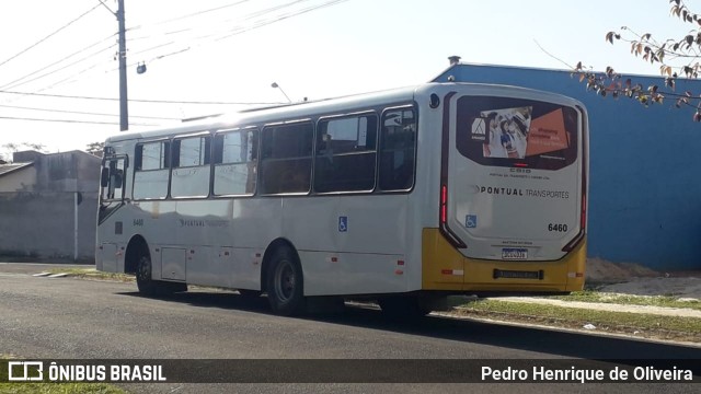 Pontual Sul Transporte e Turismo 6460 na cidade de Botucatu, São Paulo, Brasil, por Pedro Henrique de Oliveira. Número da foto: #12196690.