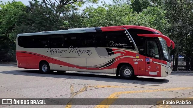 Empresa de Ônibus Pássaro Marron 6005 na cidade de São Paulo, São Paulo, Brasil, por Fábio Paixão. Número da foto: #12197431.