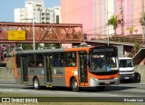 TRANSPPASS - Transporte de Passageiros 8 0982 na cidade de São Paulo, São Paulo, Brasil, por Ricardo Luiz. Número da foto: #12198364.