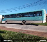 Viação Nossa Senhora Conquistadora 517 na cidade de Pelotas, Rio Grande do Sul, Brasil, por Ribeiro Reis. Número da foto: #12196616.