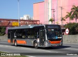 TRANSPPASS - Transporte de Passageiros 8 1366 na cidade de São Paulo, São Paulo, Brasil, por Ricardo Luiz. Número da foto: #12198300.