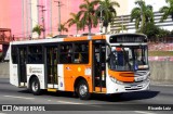Alfa Rodobus > CooperAlfa 8 6361 na cidade de São Paulo, São Paulo, Brasil, por Ricardo Luiz. Número da foto: #12198308.