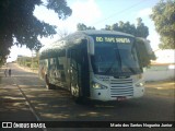 Falcão Real 1421 na cidade de Piritiba, Bahia, Brasil, por Mario dos Santos Nogueira Junior. Número da foto: #12196392.