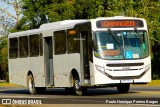 Bamonte Transportes 4H39 na cidade de Barra do Piraí, Rio de Janeiro, Brasil, por Paulo Henrique Pereira Borges. Número da foto: #12199004.